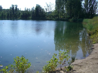 Der Jgerweiher